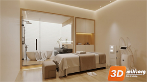 Spa Skp Files 